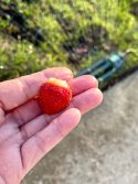 IMG_4460.jpeg
