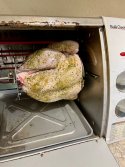 IMG_4461.jpeg