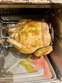 IMG_4462.jpeg