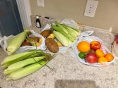 IMG_4560.jpeg