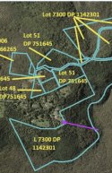 1716353661339.jpeg