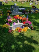 IMG_8364.jpeg