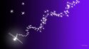 chasing-dragonflies-smaller.jpg