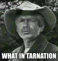 tarnation.jpg