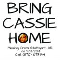 CassieShirt1.jpg