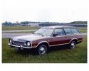 1973Pintowagona.JPG