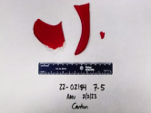 1717443725594.png