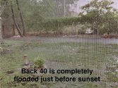 IMG_4994.jpeg