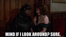 IMG_3521.gif