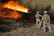 Flamethrower_0.jpg