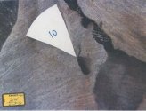 IMG_1019.jpeg