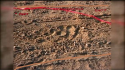 x Driveway 3 w graphics.png