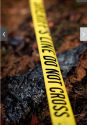 Tire tracks and char from a burned car mark fr michado's post link.png