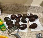 IMG_5345.jpeg
