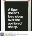 SheepTweet.JPG