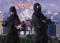 ninjas.jpg