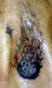 flaming_asteroid_tattoo.jpg