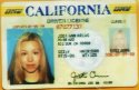 drivers-license-jodi-arias-jpg.jpg
