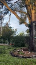 IMG_0071.jpeg