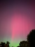 IMG_7973.jpeg