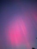 IMG_7982.jpeg