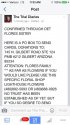 flores.jpg