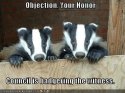 badgering.jpg