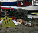 boston baby's photo cropped per post.png