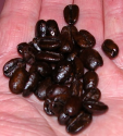 Coffee.PNG