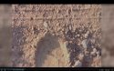 Jacob%20footprint.jpg