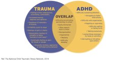 Trauma:adhd overlap.jpg