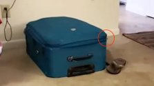 Suitcase 2nd video.jpg