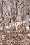 Screenshot_20241015_181459_YouTube.jpg