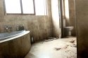 pistorius-bathroom.jpg