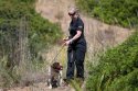 Madeleine-McCann-sniffer-dogs.jpg
