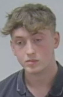 1734569436172.png