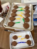 IMG_6743.jpeg