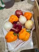 IMG_6858.jpeg