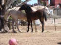 DSC03116.jpg