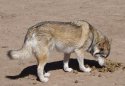 DSC03108.jpg