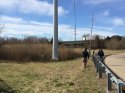 635618431777730349-Norf-aj-search3-031315.jpeg