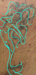 1736635953233.png