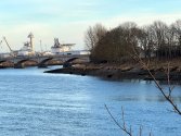 IMG_2407.jpeg