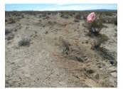 Impact site, leading into debris field.JPG