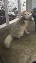 IMG_9783.jpeg