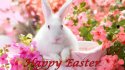 Easter.jpg