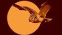 owl vintage effect.jpg