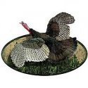 wild turkey.jpg