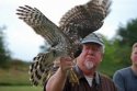 hawk.jpg