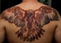 owl tat.jpg